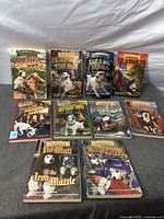 All eleven Wishbone paperbacks laid out cover-up to show titles and cover art