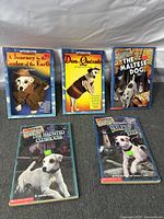 Front covers of five Wishbone paperback books displayed on cloth background