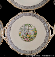 Front view of a single Silver Birch plate showing design and handles