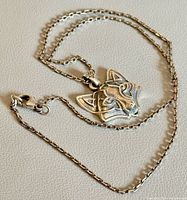 Front view of wolf head pendant on chain
