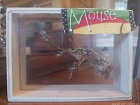 Front view of wooden case showing mummified mouse and felt label