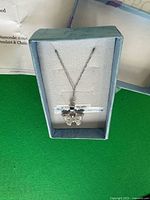 Pendant in box showing design and chain
