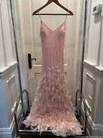Front view of pink sequin gown with feathered skirt