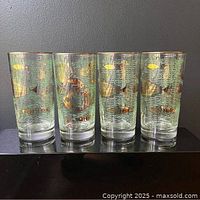 Four Libbey Marine Life highball glasses front view