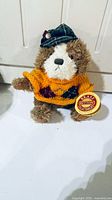 Full front view of teddy bear with sweater and cap