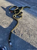 Full view of coiled rope on ground showing length, color, braid, metal connector