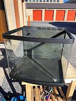 Front angled view of bowed glass aquarium showing curved front and black trim