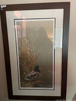 Full framed Robert Bateman mallard print