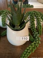 Close view of tabletop pot and succulents