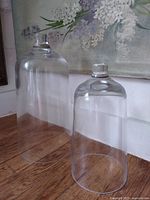 Two clear glass cloches standing side by side on wood floor