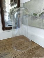 Full view of transparent glass cloche standing upright on wooden floor