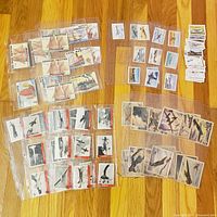 Overview of all card groups laid out in plastic pages