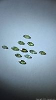 Group of 11 marquise green sapphires on neutral background