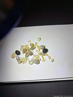 Group of loose opals spread on white card under light