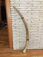 Full length view of curved bone leaning against brick wall