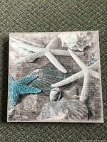 Front view of square beach themed canvas showing starfish and shells