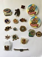 Overall view of all pins and tie bar on white background