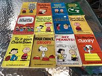 All 12 Peanuts paperback books laid out on table