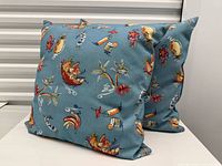 Two square pillows showing overall design, front perspective