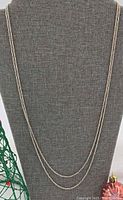 Full view of 52-inch rope chain displayed on necklace bust