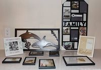 All frames and whale panel displayed together