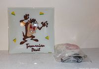 Front view of square glass Tasmanian Devil light fixture and included mounting hardware bag