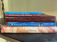 Stack of all five books showing spines