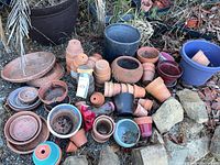 Wide view showing mix of terracotta, plastic and glazed pots and saucers