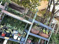 metal shelving holding many small potted succulents and two shallow round planters