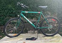 Full left-side view of green CCM mountain bike on wooden platform