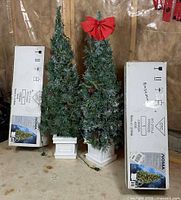 Pair of NOMA topiary trees with original boxes, unplugged