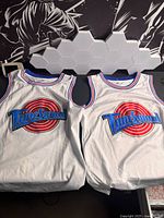 Both Tune Squad jerseys front view