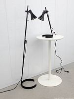 Floor and table lamps together showing overall form and size comparison