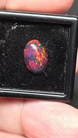 Front view of oval black fire opal in display box showing bright play of color