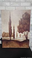 Front of sepia-toned landscape canvas print