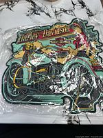 Full view of large Harley-Davidson embroidered patch in plastic