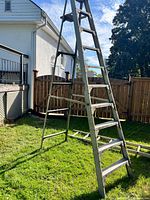 Full view of 10-ft aluminum step ladder standing on grass