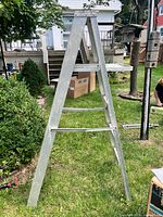 Full ladder standing on lawn, showing height and overall condition
