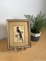 Front view of framed feather bird artwork on stand