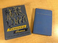 Front covers of both books