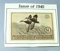 Front view of 1940 $1 Migratory Bird Hunting Stamp on album page fragment
