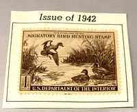Front view of 1942 migratory bird hunting stamp mounted on album snippet