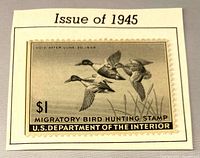 Front view of 1945 $1 migratory bird hunting stamp on trimmed album paper