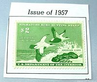 Front view of 1957 $2 Migratory Bird Hunting stamp on album cutout