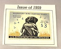 Front of 1959 $3 Migratory Bird Hunting Stamp on album paper
