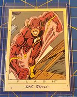 Front of The Flash card in sleeve