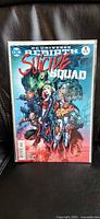 Front view of Suicide Squad #1 comic in protective bag