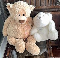 Tan and white Gund teddy bears side by side