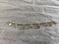 Full view of bracelet with all charms visible