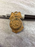 Front view of gold-tone Special Police badge brooch